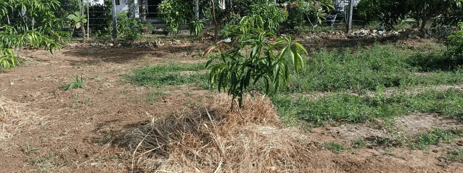 1-min